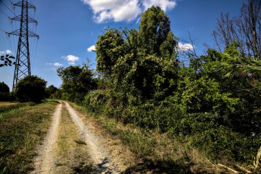İtalya 'nın kırsal kesimlerinde elektrik direği olan bir su akıntısıyla çevrili toprak yol.