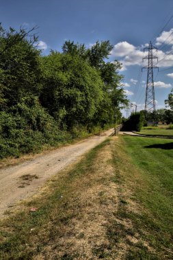 Açık bir günde ağaçlarla çevrili bir elektrik direği olan toprak yol.