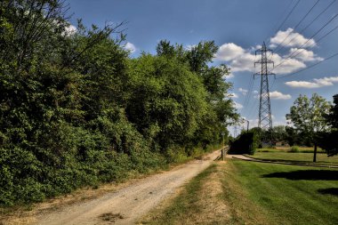 Açık bir günde ağaçlarla çevrili bir elektrik direği olan toprak yol.