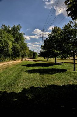 Açık bir günde ağaçlarla çevrili bir elektrik direği olan toprak yol.