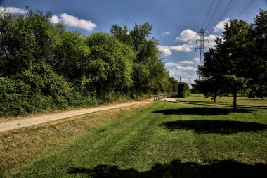 Açık bir günde ağaçlarla çevrili bir elektrik direği olan toprak yol.