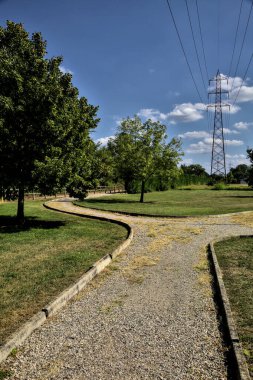 Açık bir günde ağaçlarla çevrili bir elektrik direği olan toprak yol.