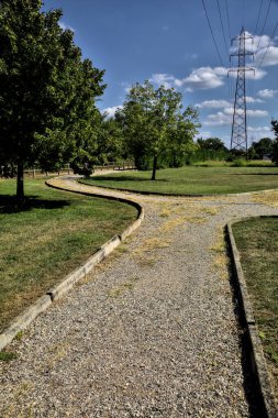 Açık bir günde ağaçlarla çevrili bir elektrik direği olan toprak yol.