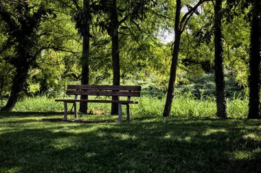 Kırsal kesimdeki bir su deresinin kıyısındaki ağaçların altında.