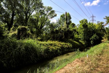 İtalya 'nın kırsal kesimlerinde elektrik direği olan bir su akıntısıyla çevrili toprak yol.