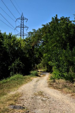 İtalya 'nın kırsal kesimlerinde elektrik direği olan bir su akıntısıyla çevrili toprak yol.