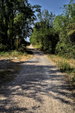 Açık bir günde kırsalda bir koruluğun ortasında ikiye ayrılan toprak yol.