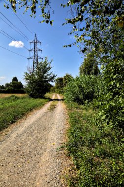 İtalya 'nın kırsal kesimlerinde elektrik direği olan bir su akıntısıyla çevrili toprak yol.
