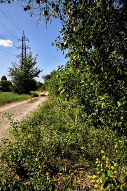 İtalya 'nın kırsal kesimlerinde elektrik direği olan bir su akıntısıyla çevrili toprak yol.