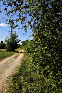 İtalya 'nın kırsal kesimlerinde elektrik direği olan bir su akıntısıyla çevrili toprak yol.