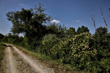 Ağaçlar ve çalılarla çevrili toprak yol ve bulutlarla dolu açık bir günde İtalya kırsalında bir su akıntısı.