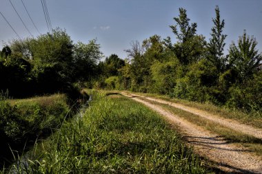 Ağaçlar ve çalılarla çevrili toprak yol ve bulutlarla dolu açık bir günde İtalya kırsalında bir su akıntısı.