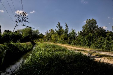 Ağaçlar ve çalılarla çevrili toprak yol ve bulutlarla dolu açık bir günde İtalya kırsalında bir su akıntısı.