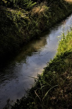 Çimen kenarlı su akıntısı