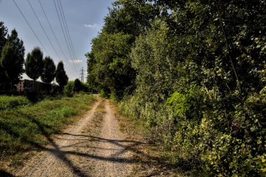 Bir su akıntısının yanındaki toprak yol ve açık bir günde üzerinde selvi olan açık bir alan.