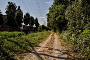 Bir su akıntısının yanındaki toprak yol ve açık bir günde üzerinde selvi olan açık bir alan.