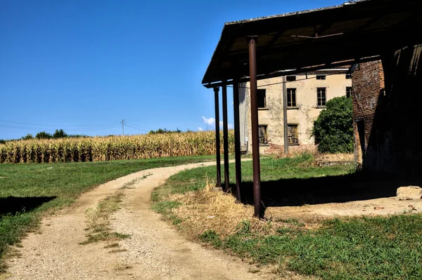 여름에 이탈리아 시골의 옥수수 둘러싸인 버려진 — 스톡 사진