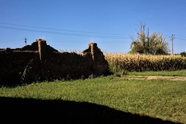 Broken brick boundary wall next to a corn field on a clear day