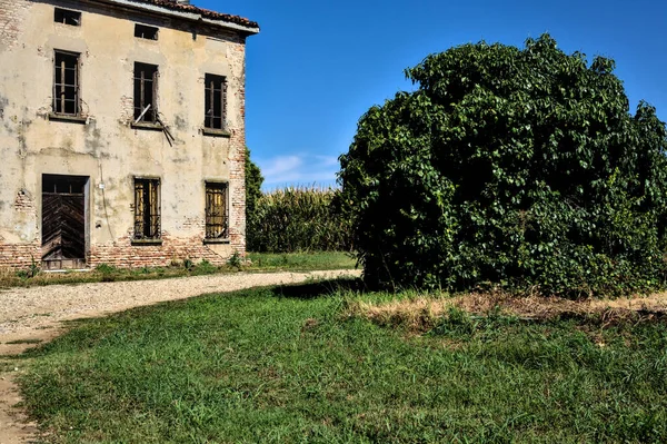 Mansão Abandonada Com Celeiro Cercado Por Campos Milho Campo Italiano — Fotografia de Stock