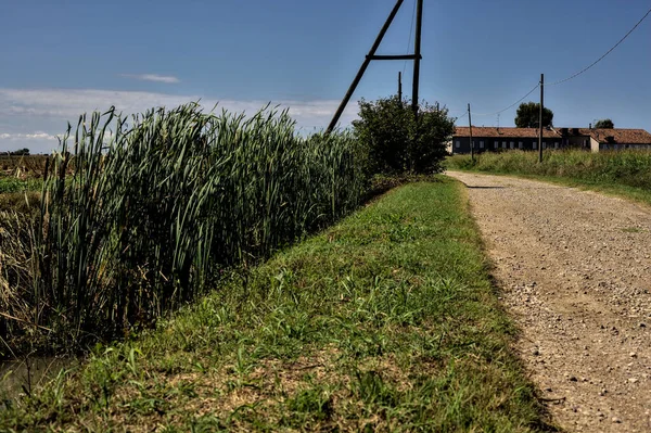 Schotterpiste Neben Feldern Und Einem Wasserlauf Der Italienischen Landschaft Einem — Stockfoto