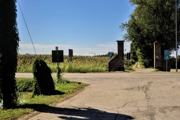 Açık bir günde ağaçlarla dolu bir kır yolundan geçmek