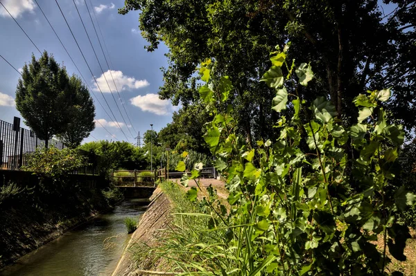 Ağaçlar ve çalılarla çevrili toprak yol ve bulutlarla dolu açık bir günde İtalya kırsalında bir su akıntısı.