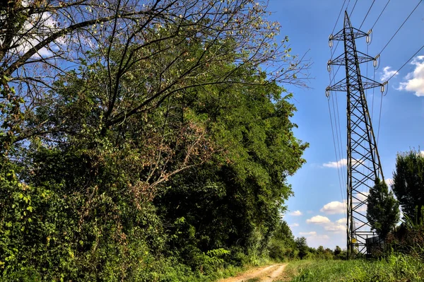 Camino Tierra Bordeado Por Arroyo Agua Con Pilón Electricidad Campo — Foto de Stock