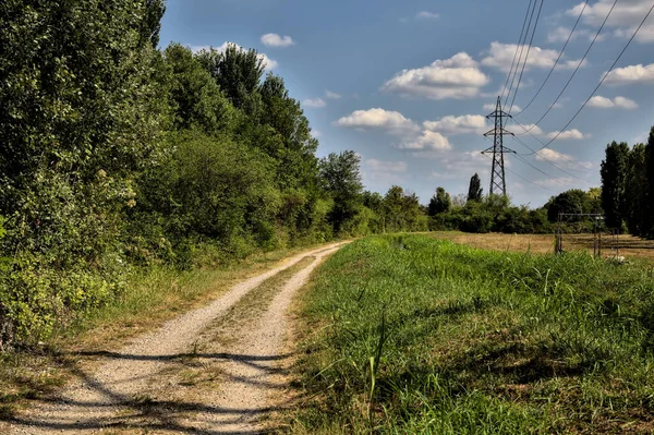 Dirt Path Next Stream Water Open Space Row Cypress Clear — Stock fotografie