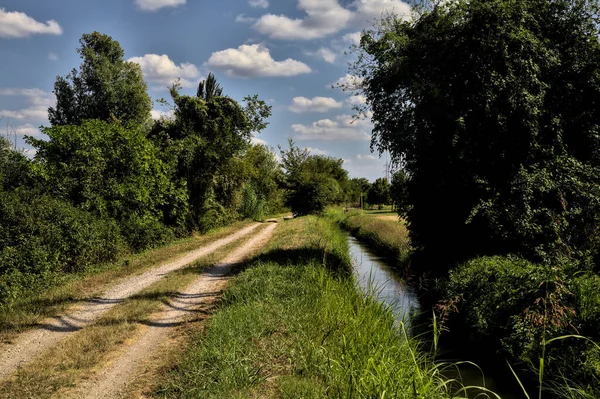 Dirt Path Bordered Trees Bushes Stream Water Italian Countryside Clear — Stock Photo, Image