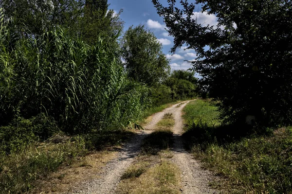 木々や茂みに囲まれた未舗装の道と雲と晴れた日にイタリアの田舎の水の流れ — ストック写真