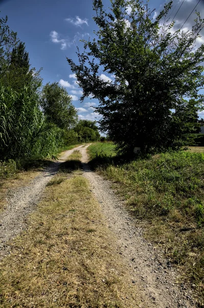 Caminho Terra Delimitado Por Árvores Arbustos Riacho Água Campo Italiano — Fotografia de Stock