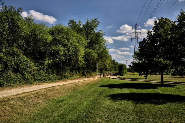 Dirt Path Electricity Pylon Bordered Trees Clear Day — Stock Photo, Image