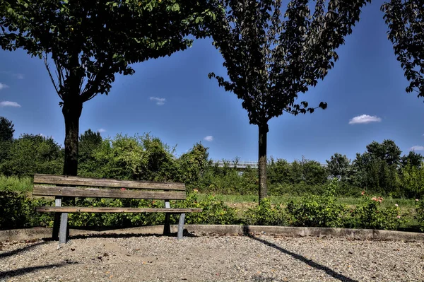 날에는 의자들 나무와 관목들 경계를 이루고 — 스톡 사진