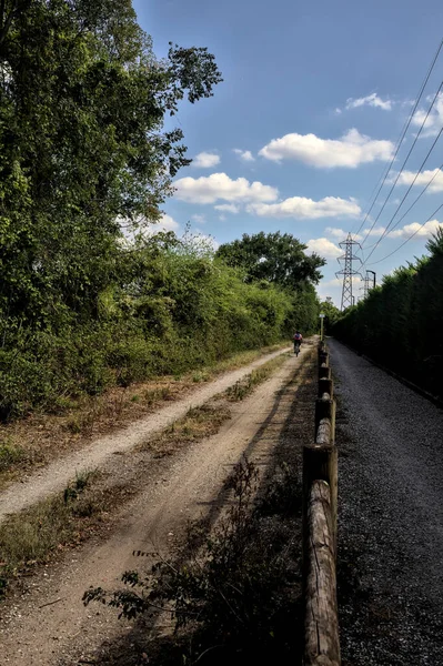 在意大利乡间一条被树木环绕的土路上骑自行车 从远处望去 — 图库照片