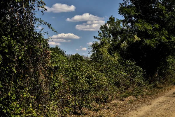 木々や茂みに囲まれた未舗装の道と雲と晴れた日にイタリアの田舎の水の流れ — ストック写真