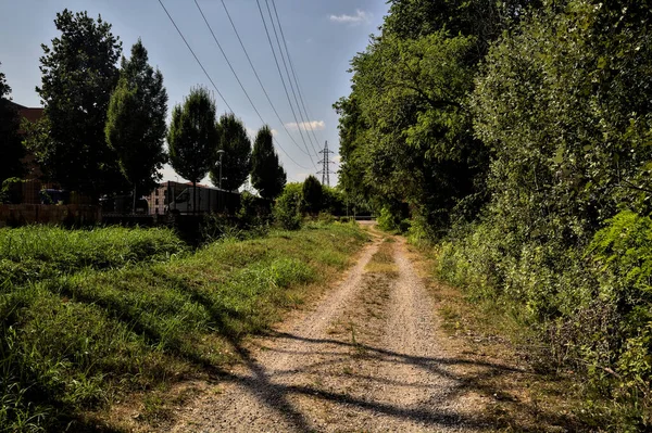 Bir su akıntısının yanındaki toprak yol ve açık bir günde üzerinde selvi olan açık bir alan.
