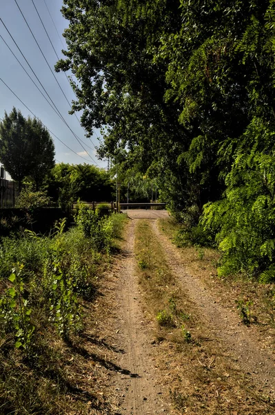 Camino Tierra Junto Arroyo Agua Espacio Abierto Con Una Fila —  Fotos de Stock