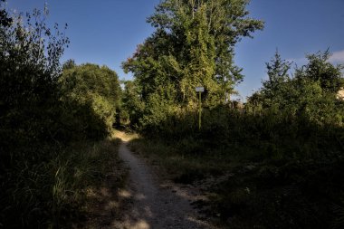 Gün batımında kırsalda ağaçlarla çevrili hafif gölgeli bir patika.