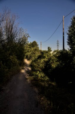 Gün batımında kırsalda ağaçlarla çevrili hafif gölgeli bir patika.