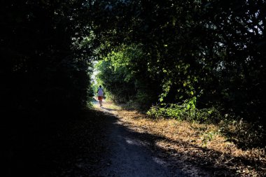 Gün batımında bir korulukta gölgeli bir patika Uzaklarda bir koşucuyla