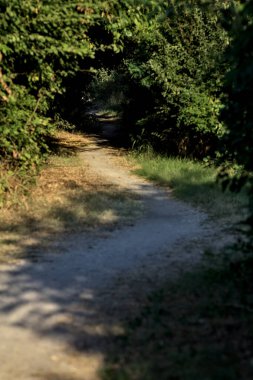 Gün batımında kırsalda ağaçlarla çevrili hafif gölgeli bir patika.