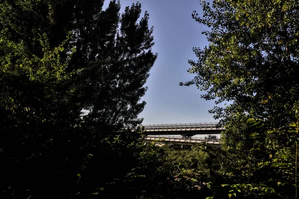 Pequeño Viaducto Campo Enmarcado Por Árboles Cielo Despejado — Foto de Stock