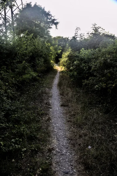 Sendero Sombrío Bosque Campo Iluminado Por Sol Atardecer —  Fotos de Stock