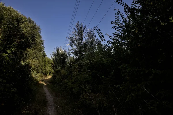 Leicht Schattiger Weg Der Bei Sonnenuntergang Von Bäumen Gesäumt Wird — Stockfoto