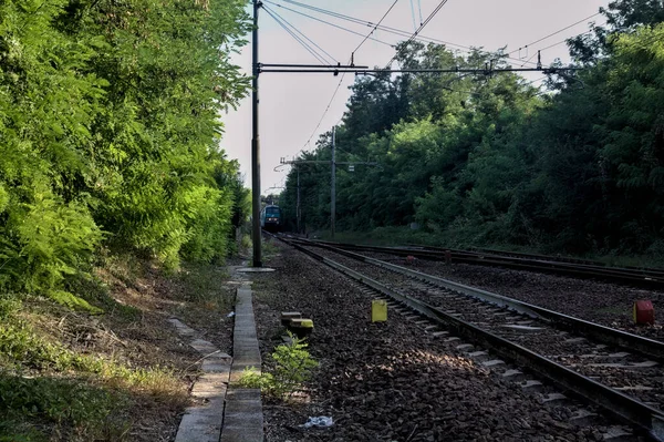 Günbatımında Talya Kırsalında Bir Ormanın Ortasında Demiryolu — Stok fotoğraf