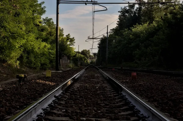 Spoorweg Midden Een Bos Het Italiaanse Platteland Bij Zonsondergang — Stockfoto