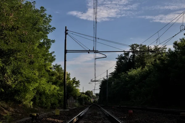 Železnice Uprostřed Lesa Italském Venkově Při Západu Slunce — Stock fotografie