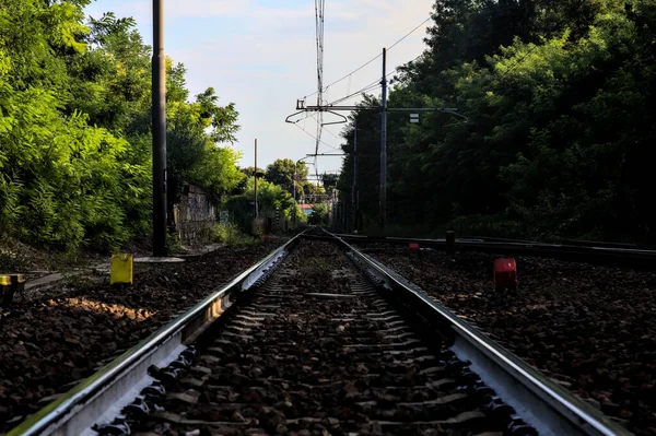 Kolej Środku Lasu Włoskiej Wsi Zachodzie Słońca — Zdjęcie stockowe