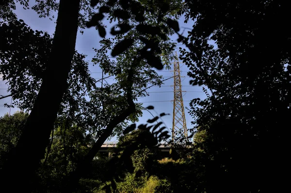 Електричний Пілон Обрамлений Деревами Парку Заході Сонця — стокове фото