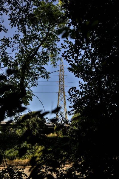 Pylon Elektryczny Otoczony Drzewami Parku Zachodzie Słońca — Zdjęcie stockowe